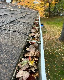 Gutter/ Evetrough Cleaning Moncton