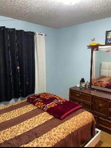 Private  Room For Rent on Upper Floor - Photo 3