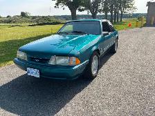 1993 Mustang 5.0l Notchback - Photo 2