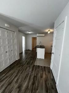 LOGEMENT 4 ½ SITUÉ NIVEAU TERRASSE, CABANON À LOUER! - Photo 5
