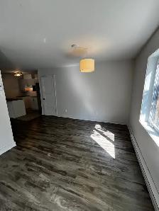 LOGEMENT 4 ½ SITUÉ NIVEAU TERRASSE, CABANON À LOUER! - Photo 6