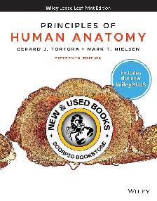 Principles of Human Anatomy 15th Edition Tortora 9781119781707