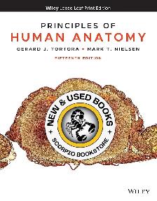 Principles of Human Anatomy 15E Tortora 9781119662761