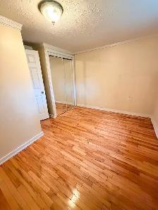 Basement Suite - Photo 2