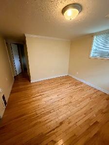 Basement Suite - Photo 5