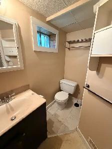 Basement Suite - Photo 8