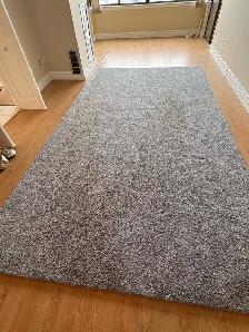 Free delivery used Grey Shag Area Rug - Photo 5