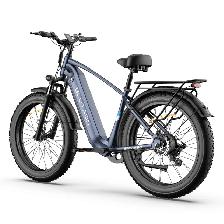 Blutron EB880 Electric Bike — Certified Refurbished, Tested & Wo