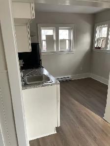 Bachelor Apartment for Rent - Photo 2