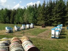 BEEKEEPERS WANTED - Photo 3