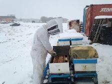 BEEKEEPERS WANTED - Photo 4
