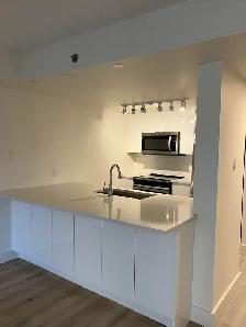 SOUTHEND SPACIOUS 1 BR with INSUITE LAUNDRY September 1 - Photo 4
