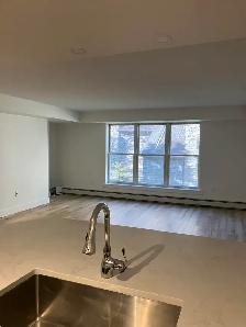 SOUTHEND SPACIOUS 1 BR with INSUITE LAUNDRY September 1 - Photo 5