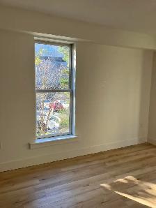 SOUTHEND SPACIOUS 1 BR with INSUITE LAUNDRY September 1 - Photo 8
