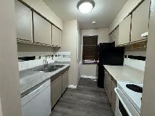 4611 - 50 Street - 2 House for Rent