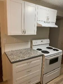 Amazing Find in Red Deer! 3 Bedrooms, 1 Bath! - Photo 3