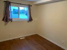 Amazing Find in Red Deer! 3 Bedrooms, 1 Bath! - Photo 10