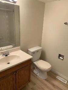 Amazing Find in Red Deer! 3 Bedrooms, 1 Bath! - Photo 12