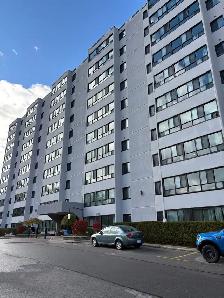 SPACIOUS ONE BEDROOM IN NORTH LONDON HIGHRISE