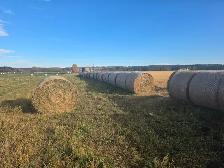 Alfalfa round hay bales - Photo 3