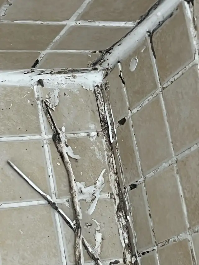 caulking restoration & Grout