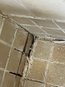 caulking restoration & Grout - Photo 2