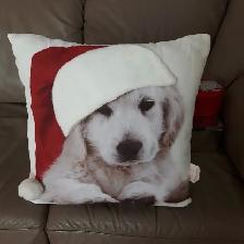 BEAU COUSSIN NEUF BLANC ROUGE D'ENFANT MONTRANT 1 CHIEN: $10.00 - Photo 2