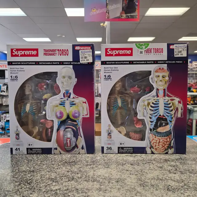 Supreme Transparent Torso Anatomy 36 & 41 Pc @ Cashopolis!!