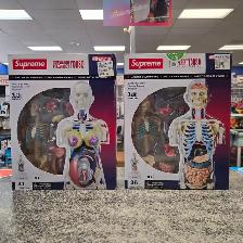 Supreme Transparent Torso Anatomy 36 & 41 Pc @ Cashopolis!!