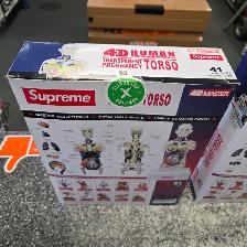 Supreme Transparent Torso Anatomy 36 & 41 Pc @ Cashopolis!! - Photo 3