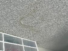popcorn ceiling removal —- smooth finish