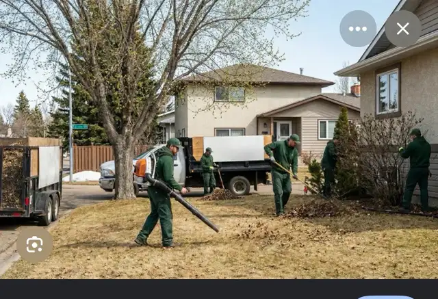 general labour yard cleaning