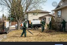 general labour yard cleaning