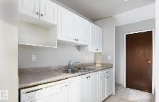 SPACIOUS 1-BEDROOM CONDO – $1,150/MONTH | STONY PLAIN - Photo 3