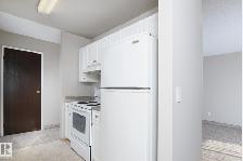 SPACIOUS 1-BEDROOM CONDO – $1,150/MONTH | STONY PLAIN - Photo 4