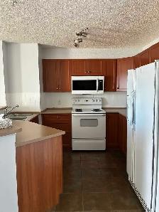 2 Bedroom 2 bath Condo for rent - Photo 2