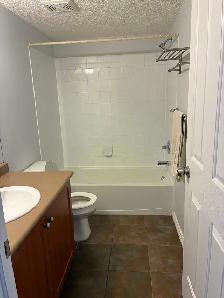 2 Bedroom 2 bath Condo for rent - Photo 4