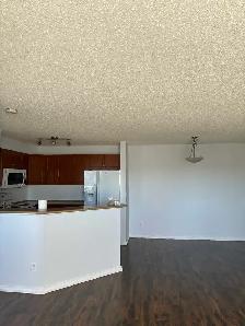 2 Bedroom 2 bath Condo for rent - Photo 8