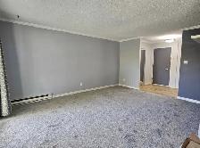 Central location 2 bed 2 bath condo in Saanich - Photo 2