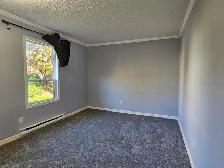 Central location 2 bed 2 bath condo in Saanich - Photo 6
