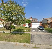 2 BR Basement apartment for Rent