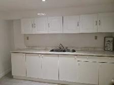 2 BR Basement apartment for Rent - Photo 15