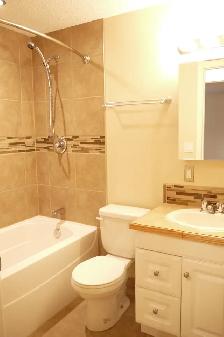 2BR Wlkout Bsmt-5min walk 2 LRT/own backyrd/newr ktchn/bth/PetOK - Photo 3