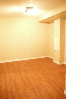 2BR Wlkout Bsmt-5min walk 2 LRT/own backyrd/newr ktchn/bth/PetOK - Photo 4