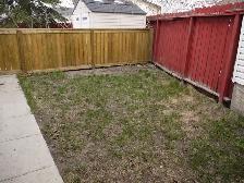 2BR Wlkout Bsmt-5min walk 2 LRT/own backyrd/newr ktchn/bth/PetOK - Photo 8