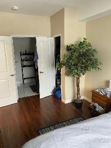 Apartment For Rent - Photo 3