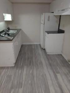 1 MONTH FREE RENT plus $100 off Seniors - 2 bed apt Sandwich St. - Photo 2
