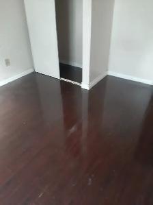 1 MONTH FREE RENT plus $100 off Seniors - 2 bed apt Sandwich St. - Photo 4