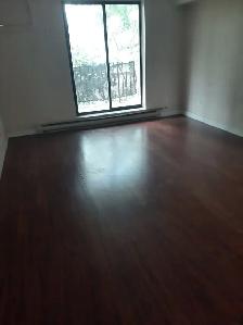 1 MONTH FREE RENT plus $100 off Seniors - 2 bed apt Sandwich St. - Photo 6