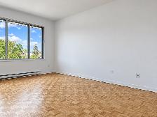 Beautiful 3 Bedroom Apartment Located in The Heart of Lachine - Photo 3
